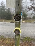 Image for Insect Hotel - Chase, MD
