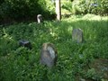 Image for židovský hrbitov / the Jewish cemetery, Stádlec,  Czech republic
