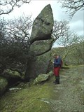 Image for Puckie Stone, Dewerstone, South West Dartmoor