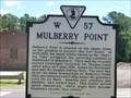 Image for Mulberry Point