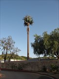 Image for Cosmos Cell Phone Tower - Las Flores, CA