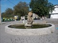 Image for The fountain - Gradišce pri Materiji, Slovenia