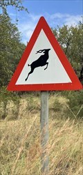 Image for Kudu Crossing