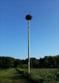 Image for Osprey Nesting Platform - Jamestown, PA
