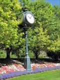 Image for Denver Tech Center Street Clock - Englewood, CO
