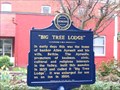 Image for Big Tree Lodge