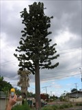 Image for Greenway Pine Cell Tower - Whittier, CA