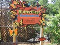 Image for Butterfly House - Dallas Texas