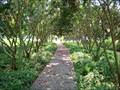 Image for St. John's County Arboretum - St. Augustine, Florida