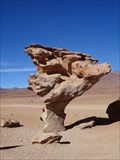 Image for Árbol de Piedra - Bolivia