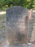 Image for Estha Hawkins - Andrews Cemetery, Greenwood County, SC
