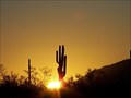 Image for Saguaro National Park - Arizona