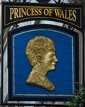 Image for Princess of Wales - Villiers Street, London, UK.