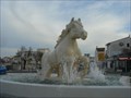 Image for White horse, Saintes-Maries-de-la-Mer, Gard, France