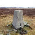 Image for O.S. Triangulation Pillar - Hill of Glansie, Angus.