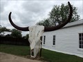Image for Giant Texas Longhorn Skull - Albany, TX