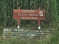 Image for Black Marsh Wildlands Natural State Area - Edgemere, MD