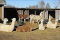 Image for KeLe Alpaca Farm – rural Kewaunee, WI