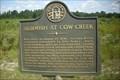 Image for Skirmish at Cow Creek GHM-050-3 Echols County,Georgia
