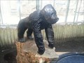 Image for LEGO Sculpture Gorilla - ZOO Duisburg (Germany)