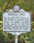 Image for Pringle Tree
