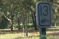 Image for 13 mph in Lettuce Lake Park - Tampa, FL