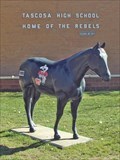 Image for Tascosa High School Horse - Amarillo, TX