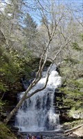 Image for Ganoga Falls, Ricketts Glen S.P. - Luzerne County, PA