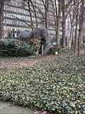 Image for The Sleeping Elephant - NYC, NY, USA