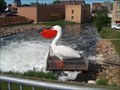 Image for World's Largest Pelican