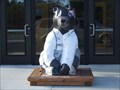 Image for "Franz Bear" - Gaylord, Michigan, USA