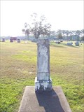Image for John B. McDermit - Collins, MS