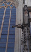 Image for Gargoyles of St. Michael and St. Gudula Cathedral, Brussels, BE, EU