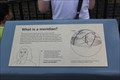 Image for What is a meridian? --  Royal Observatory, Greenwich, London, UK