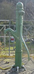 Image for Green Hand Pump at Sepmes - Les Coteaux