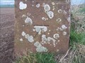 Image for CUT BENCH MARK, LANGWATHBY, CUMBRIA