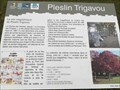 Image for Le site mégalithique - Pleslin-Trigavou, France