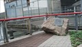 Image for Jerry Driscoll Walk - Seaport Community Coalition, New York, USA