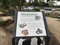 Image for Being Snakewise - Irvine, CA