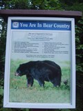 Image for Bear Country - Nairn Falls, BC