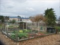 Image for Val Vista Community Park Community Garden - Pleasanton, CA