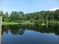 Image for Dismal Swamp Canal - Chesapeake VA