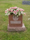 Image for John E James - Layton Cemetery - Yellville, Arkansas