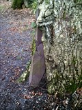 Image for Slate Eating Tree, Parc Meurig, Bethesda, Gwynedd, Wales