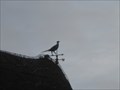 Image for Pheasant weathervane - Bythorn - Camb's