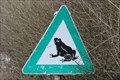 Image for Frosch-Kreuzung / Frog Crossing - Leiben, Austria