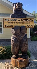 Image for Black Bear, Washington County US 64 Rest Area - Plymouth, North Carolina