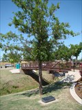 Image for 1 Lt. David T. Wright II tree - Veterans Memorial Park  -  Moore, OK