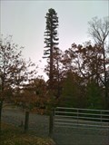 Image for Disguised Cell Tower - Fairfax, VA