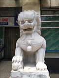Image for Lions—Beijing, China